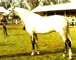 stallion Hill Farmer xx (Thoroughbred, 1972, from Maestose xx)