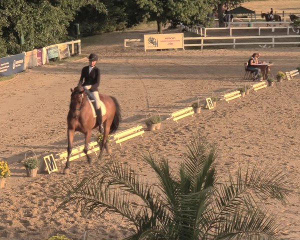Reitturnier Letmathe 2018