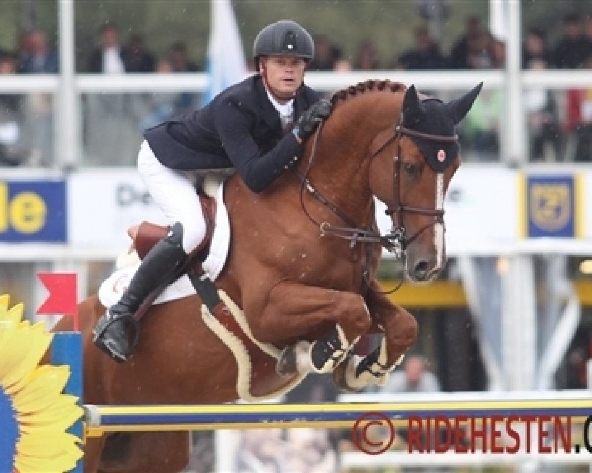 jumper Jupiter Vg (Belgian Warmblood, 2009, from Pommeau du Heup)