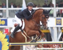 Springpferd Jupiter Vg (Belgisches Warmblut, 2009, von Pommeau du Heup)