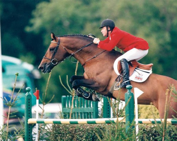 horse Calvaro Z (Holsteiner, 1987, from Caletto I)