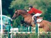 horse Calvaro Z (Holsteiner, 1987, from Caletto I)