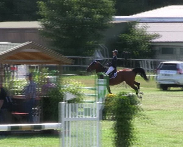 Reitturnier Hanerau-Hademarschen 2018