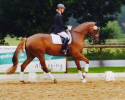 dressage horse Blind Date 39 (Hanoverian, 2011, from Bonifatius)