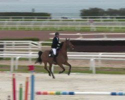 jumper Luca Toni (Hanoverian, 2008, from Lord Pezi)