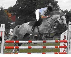 jumper Emily 171 (German Sport Horse, 2010, from Dijon)