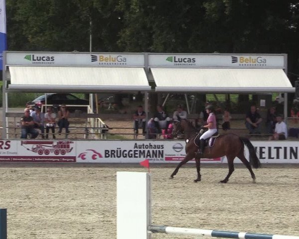 Reitturnier Wietmarschen 2018