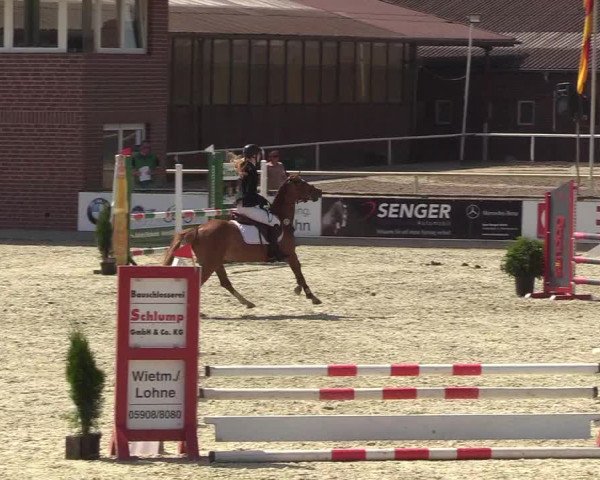 Reitturnier Wietmarschen 2018