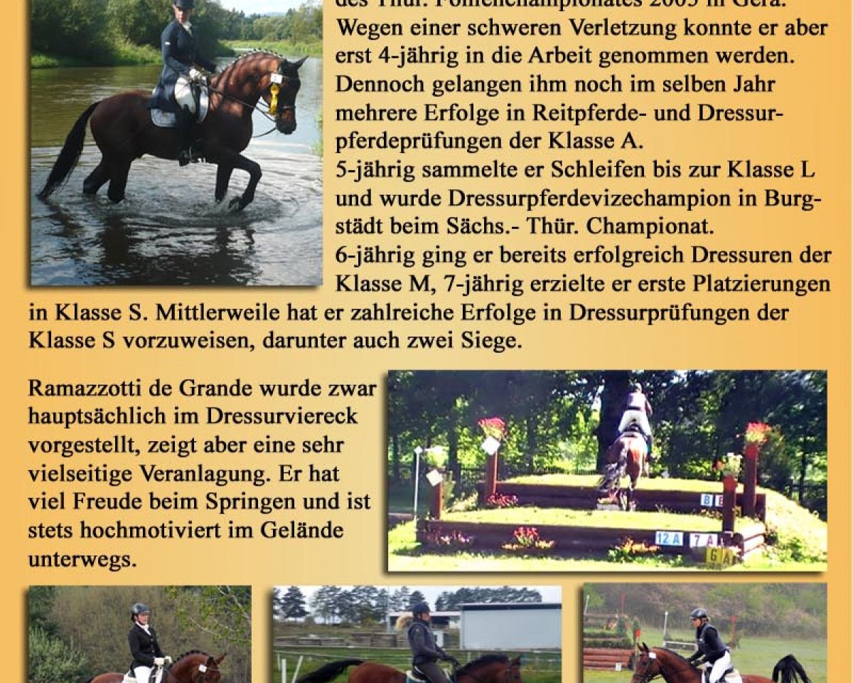 Deckhengst Ramazotti de Grande (Deutsches Sportpferd, 2005, von Renier)