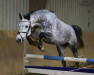 jumper Cornelle (Württemberger, 2010, from Corneille 2)