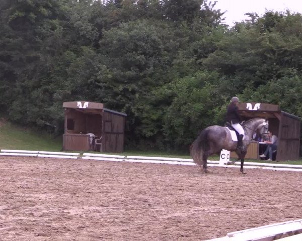 Reitturnier Vlotho-Exter 2018