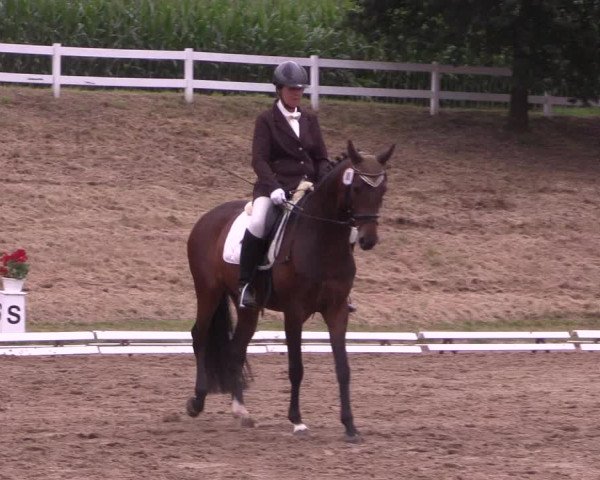 Reitturnier Vlotho-Exter 2018