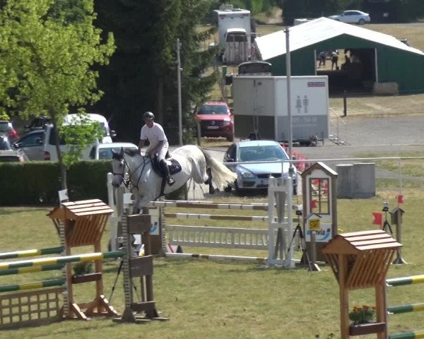 Reitturnier Allrode 2018