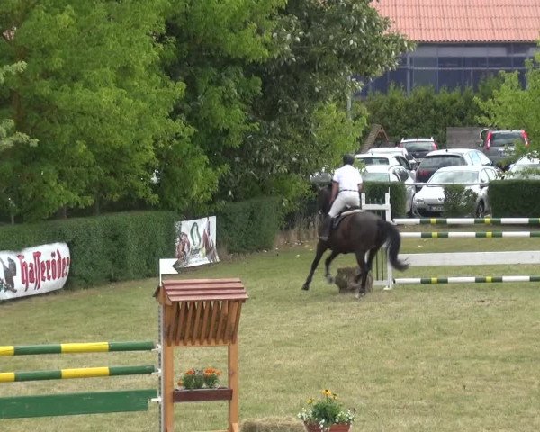 Reitturnier Allrode 2018