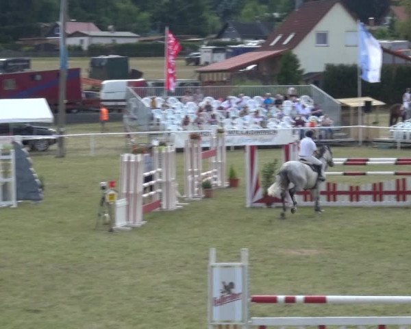 Reitturnier Allrode 2018