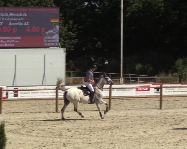 Reitturnier Wietmarschen 2018