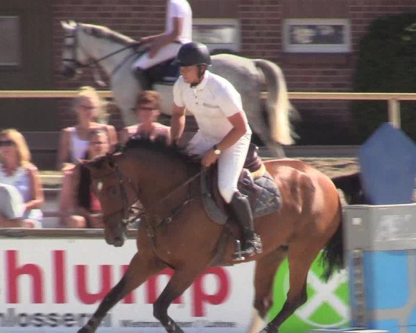 Reitturnier Wietmarschen 2018