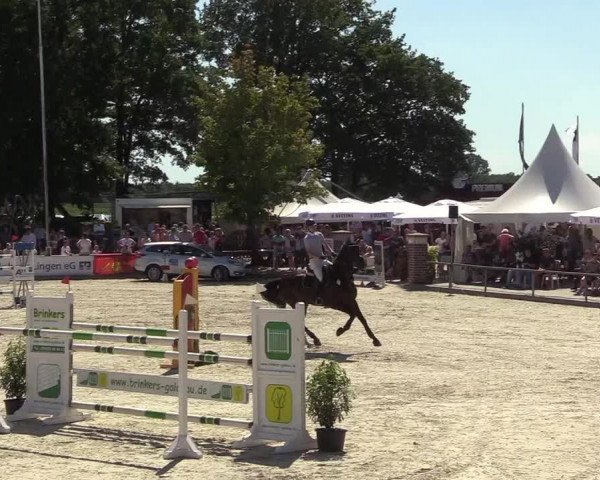 Reitturnier Wietmarschen 2018