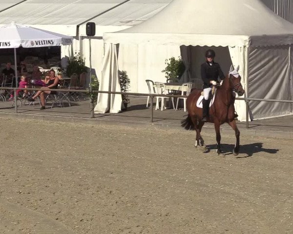 Reitturnier Wietmarschen 2018