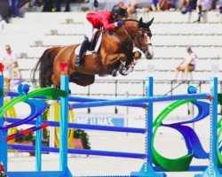 jumper Jugano van de Vosberg (Belgian Warmblood, 2009, from Ogano Sitte)