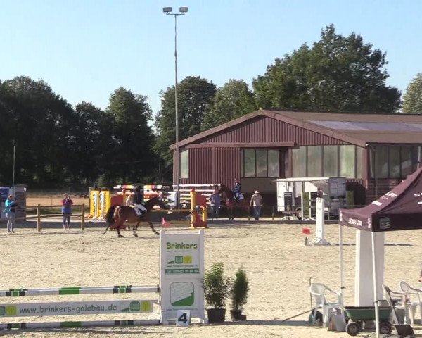 Reitturnier Wietmarschen 2018
