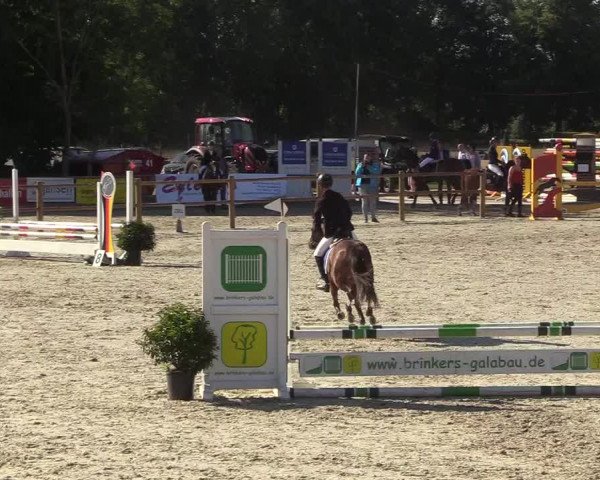 Reitturnier Wietmarschen 2018