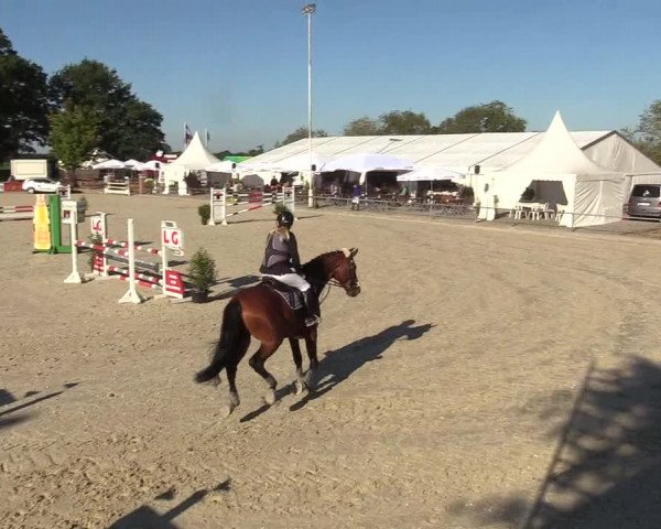 Reitturnier Wietmarschen 2018