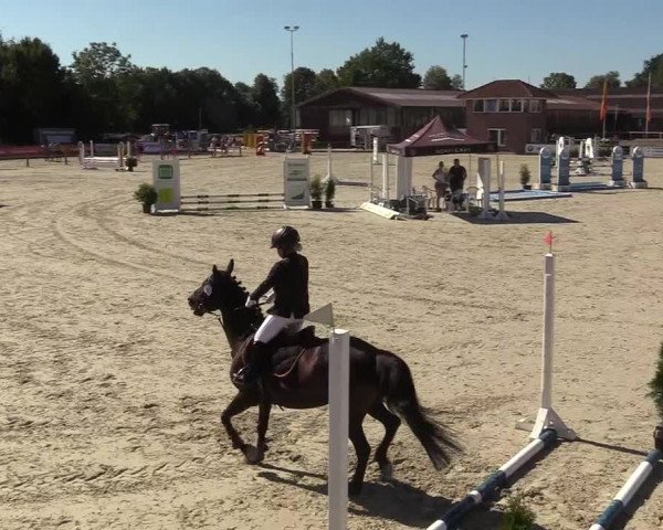 Reitturnier Wietmarschen 2018
