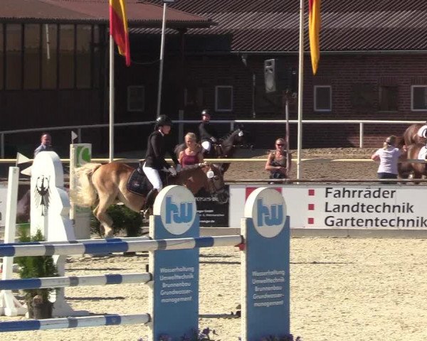 Reitturnier Wietmarschen 2018