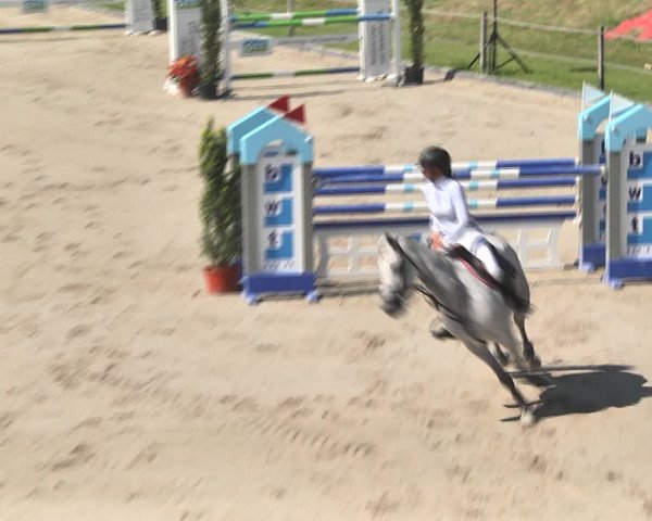 Sommerspringen Turbenthal 2018