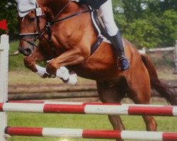 dressage horse Everybody's Darling 14 (Hanoverian, 2011, from Jk Horsetrucks Eddy)