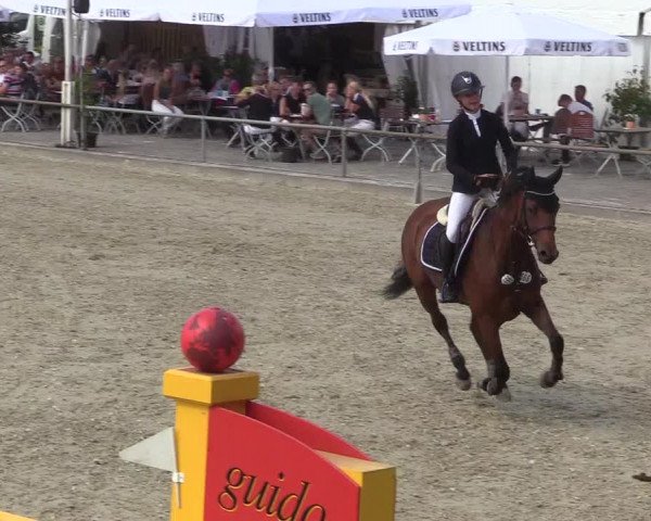 Reitturnier Wietmarschen 2018