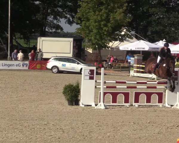 Reitturnier Wietmarschen 2018