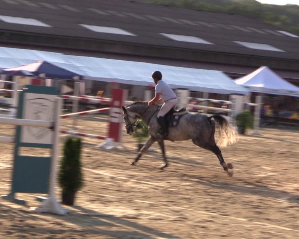 Reitturnier Hemer-Oese an der Edelburg 2018