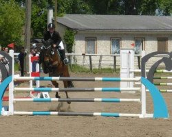 jumper Le Magie (German Riding Pony, 2006, from El Zaragat ox)