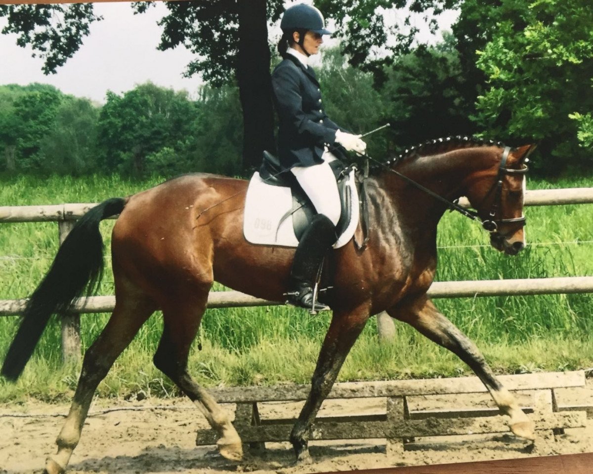 broodmare Cleopatra R (Hanoverian, 2004, from Contendro I)