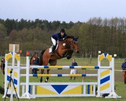 jumper Chantendro (Hanoverian, 2008, from Chacco-Blue)