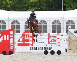 broodmare Saint Salima (Oldenburg show jumper, 2006, from Saint Amour)