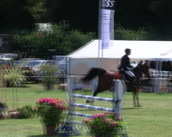 Reitturnier Hanerau-Hademarschen 2018