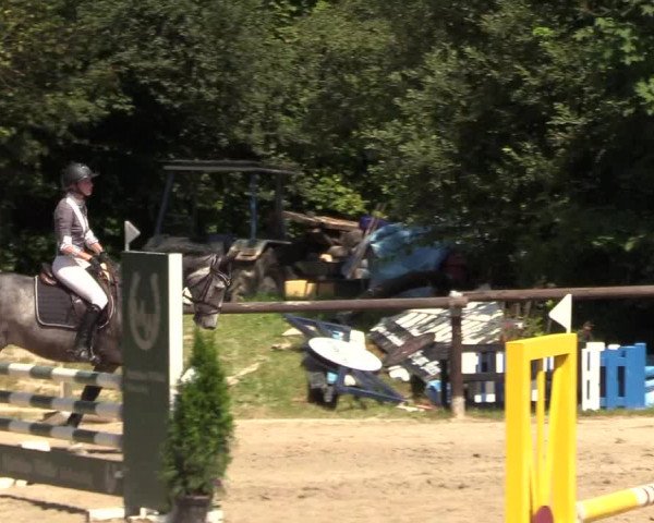 Reitturnier Marienheide-Kempershöhe 2018