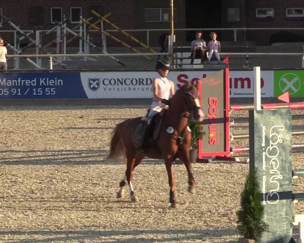 Reitturnier Wietmarschen 2018