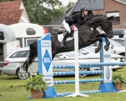 jumper Columbus 95 (Hanoverian, 2012, from Captain Morgan 4)