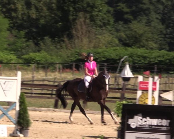 Reitturnier Hemer-Oese an der Edelburg 2018