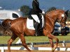 broodmare Kwd Raute (German Riding Pony, 2010, from FS Pentagon)