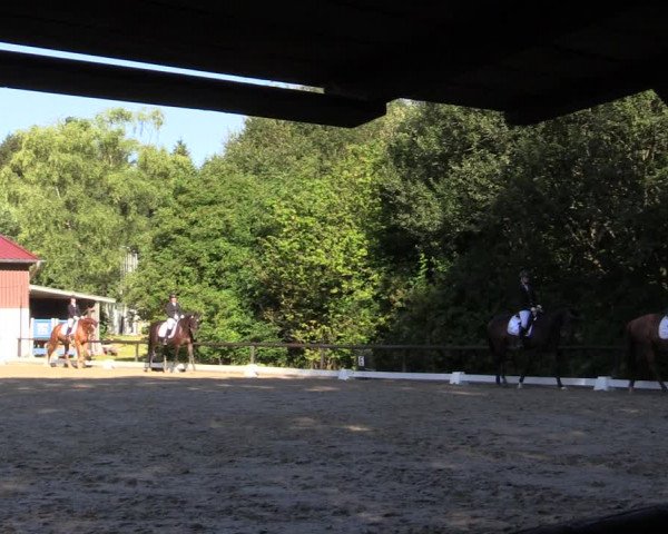 Reitturnier Marienheide-Kempershöhe 2018