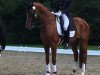 dressage horse London Magic (Hanoverian, 2008, from Londontime)