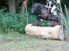 jumper Braaklander Dublin (German Riding Pony, 2011, from Dino B)