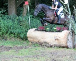 jumper Braaklander Dublin (German Riding Pony, 2011, from Dino B)