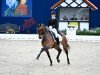 dressage horse Foreign Affair (KWPN (Royal Dutch Sporthorse), 2010, from Rock Forever NRW)