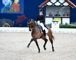 dressage horse Foreign Affair (KWPN (Royal Dutch Sporthorse), 2010, from Rock Forever NRW)